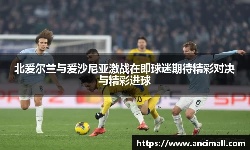 北爱尔兰与爱沙尼亚激战在即球迷期待精彩对决与精彩进球